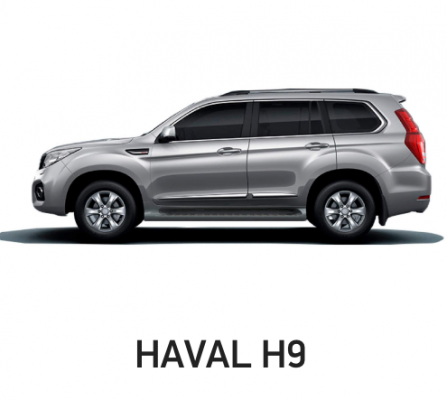 Ремонт Керамическое Покрытие Haval H9